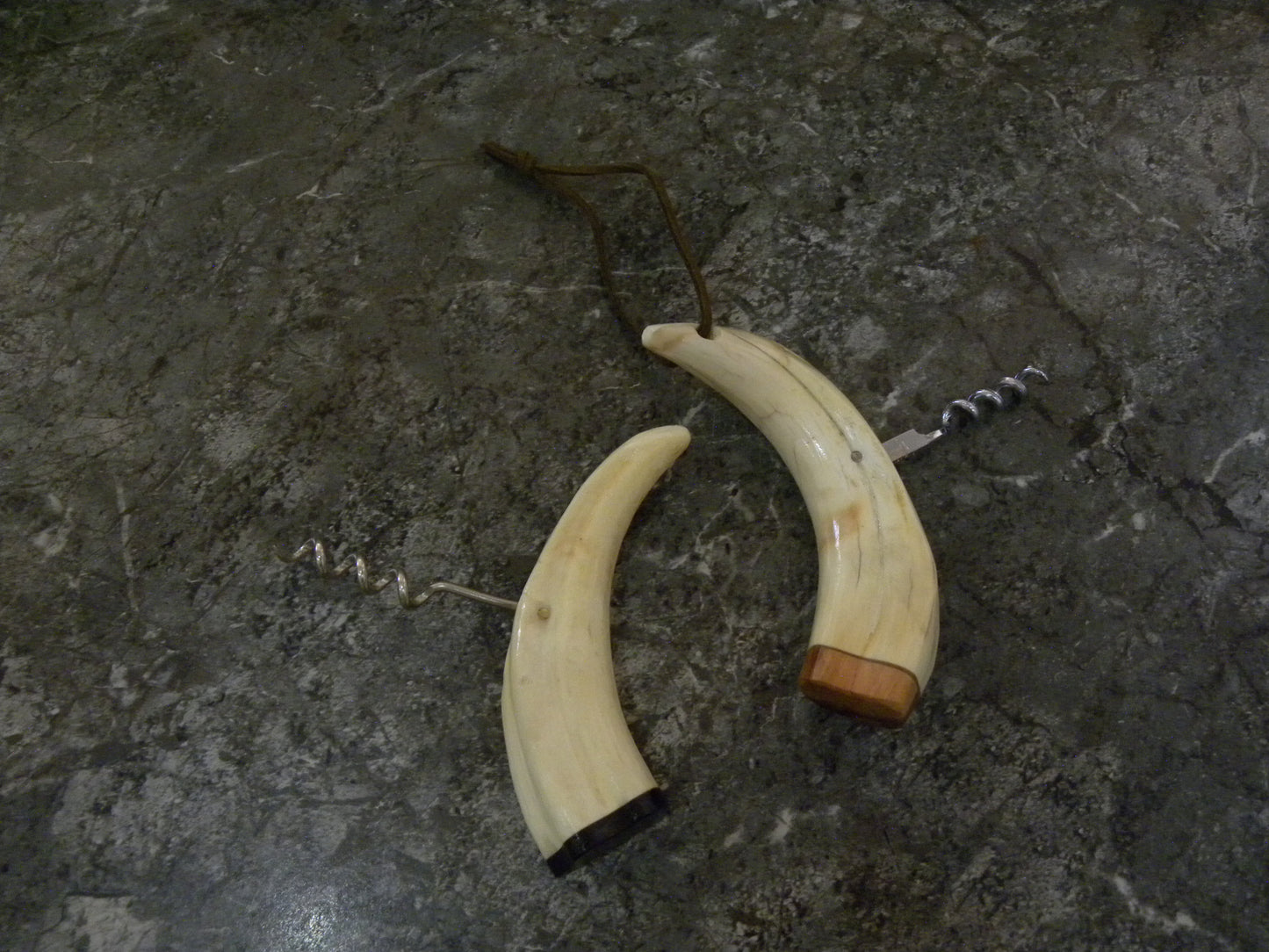 Cork Screw with Warthog Tooth