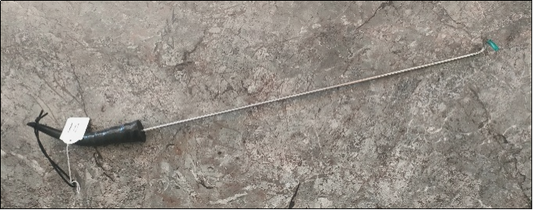 Braai Tool with Springbok horn